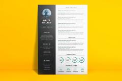 simple and clean resume cv template