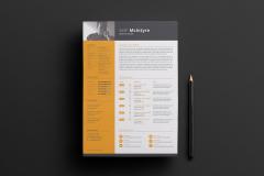 modern swiss style resume template the creative feed swiss style cv template